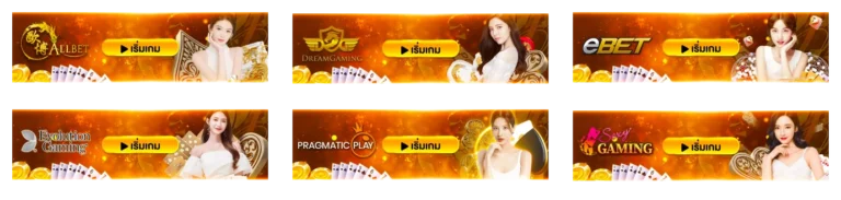 ยูฟ่า vip